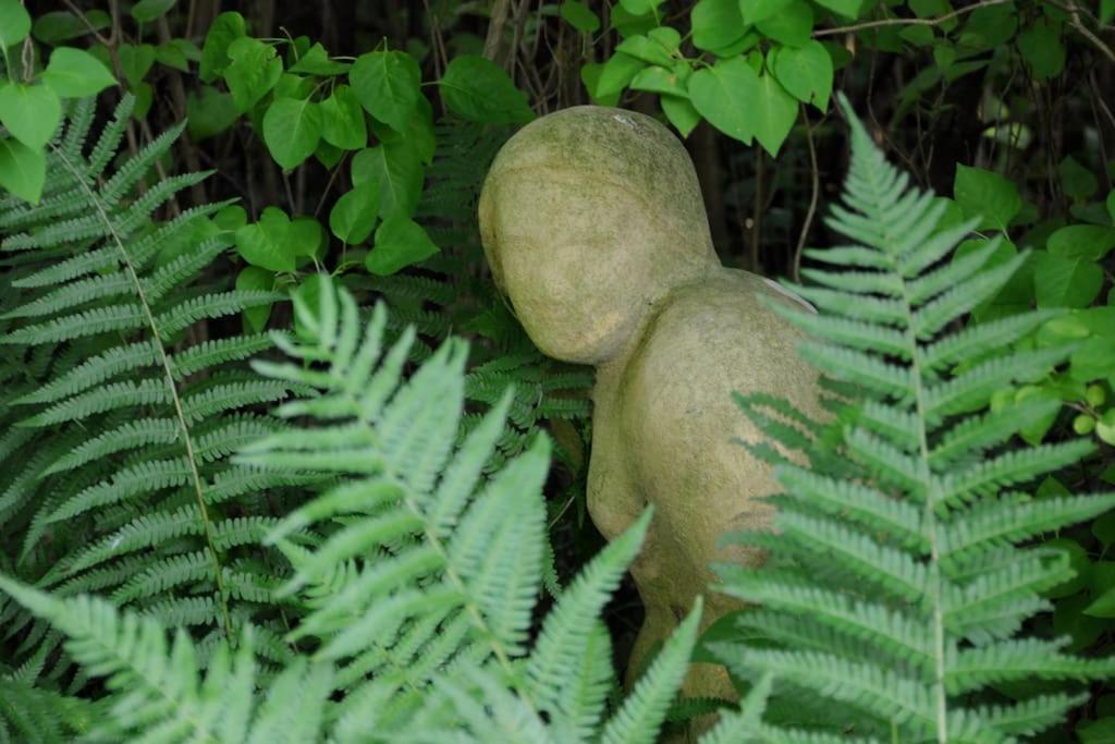 Romantisches Studio Am Waldesrand Mit Gartensauna Schwarz Extérieur photo